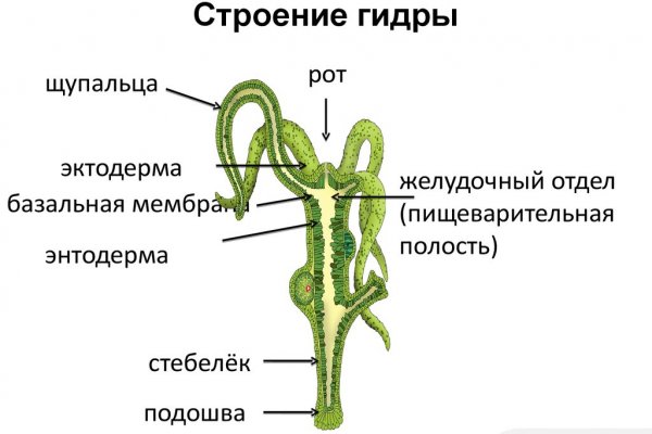 Kraken в россии